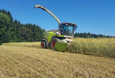 Claas Jaguar 870