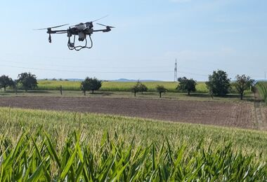 Agrardrohne DJI Agras T50