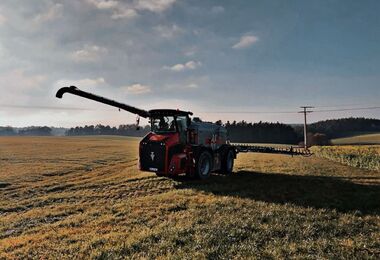 Holmer Terra Variant 435
